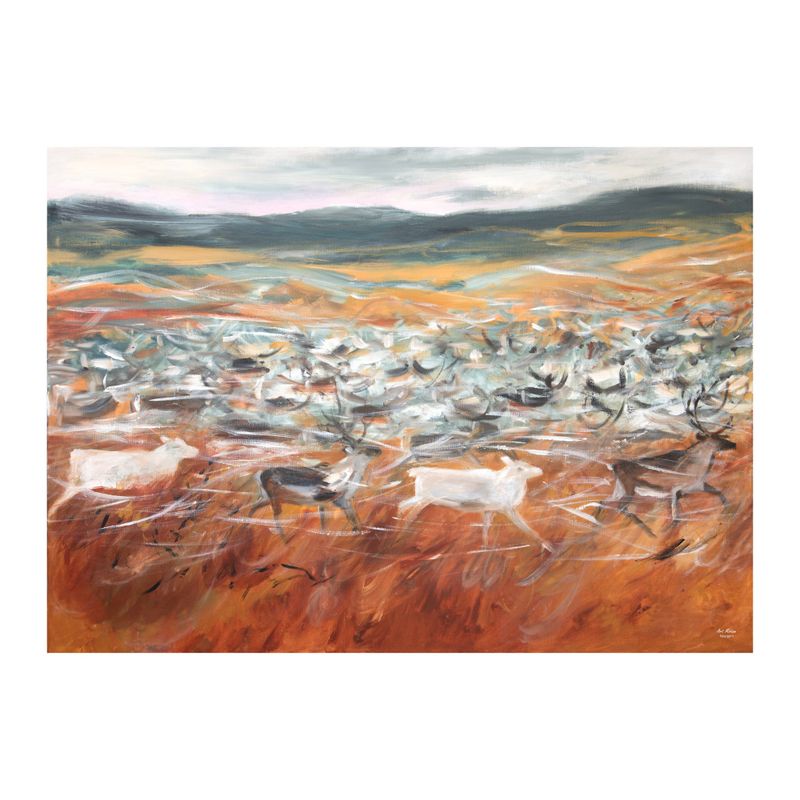 Poster Renhjord 50x70 cm